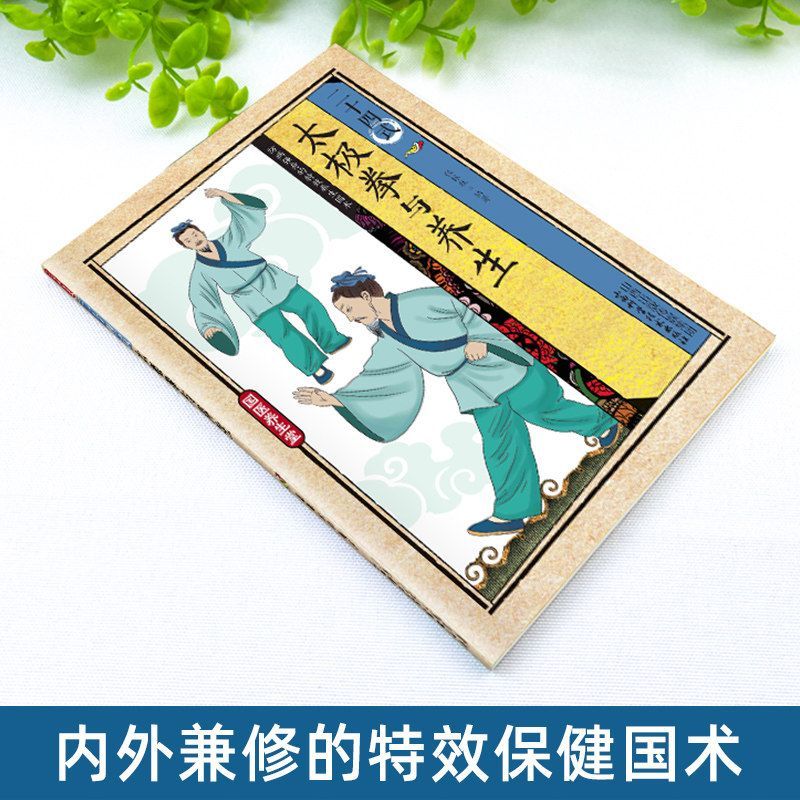 24 Stili di Tai Chi ed Eserciz - Health & Wellness Fairs recensione e prezzo