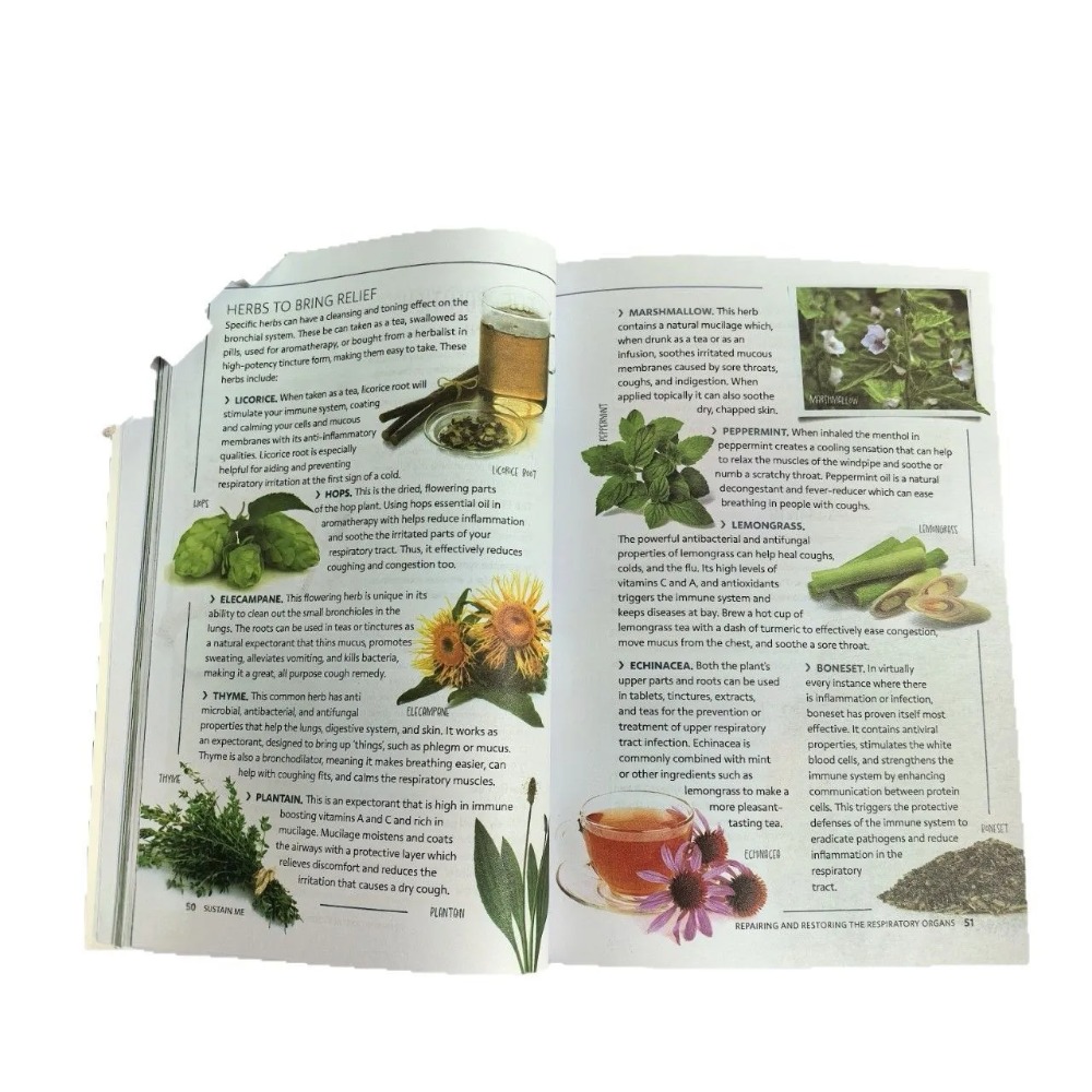 Sustain Me English Paperback d - Health Wellness Foundation recensione e prezzo